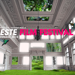VisiOnAir intervista Nicoletta Romeo,Trieste Film Festival