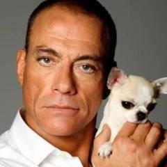 Una serie tv per Jean-Claude Van Damme