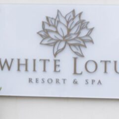 The White Lotus rinnovato